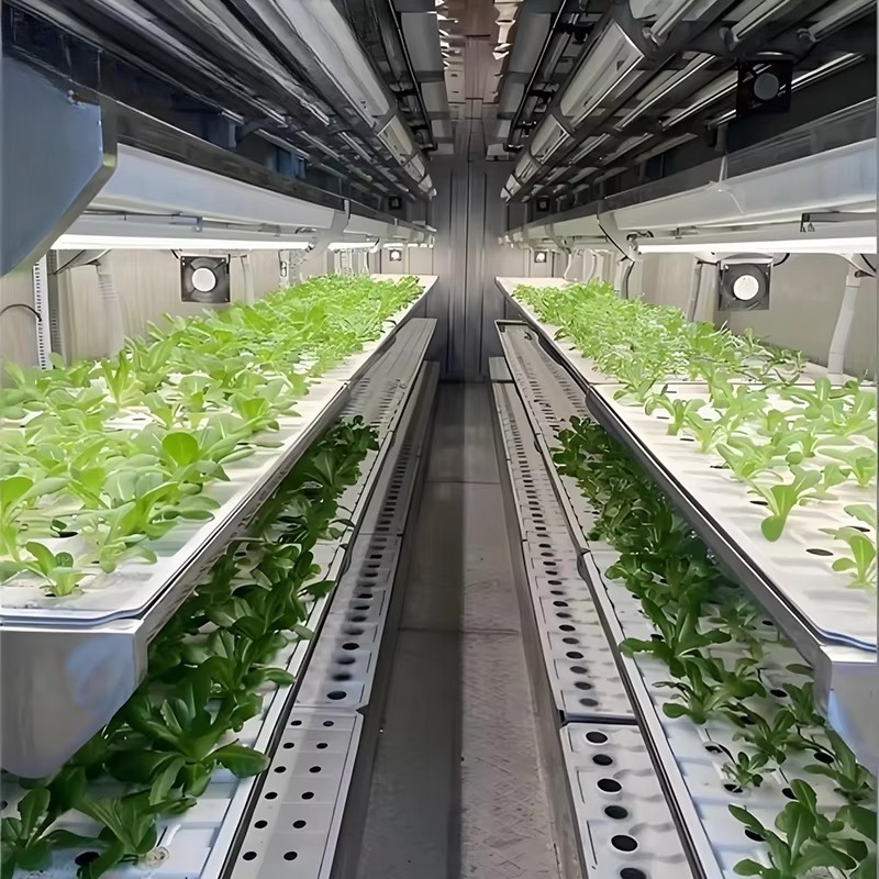 Contenedor de Cultivo Intelige - Urban Farming Vertical reseña y precio